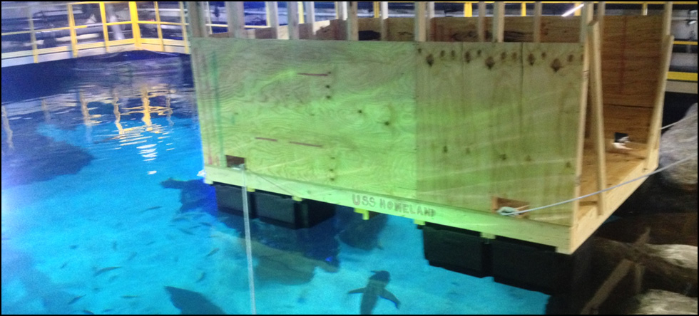 Shark Tank Repair